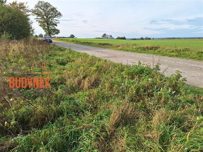 Działka rolna - Kopnica  (12)