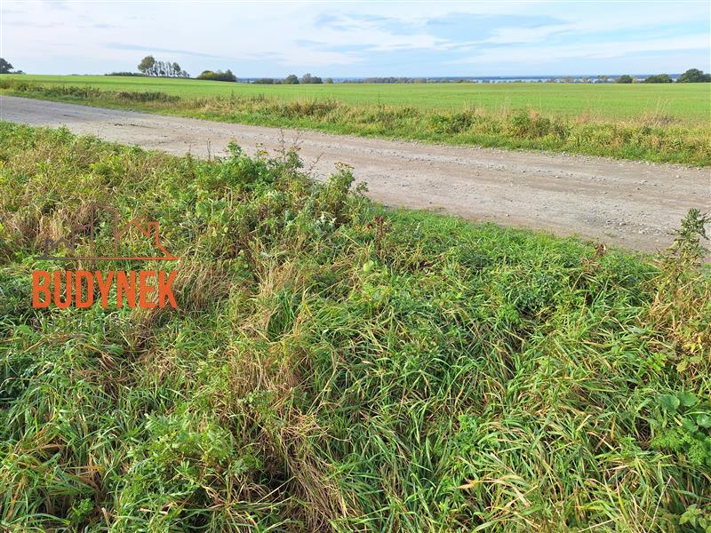 Działka rolna - Kopnica  (13)