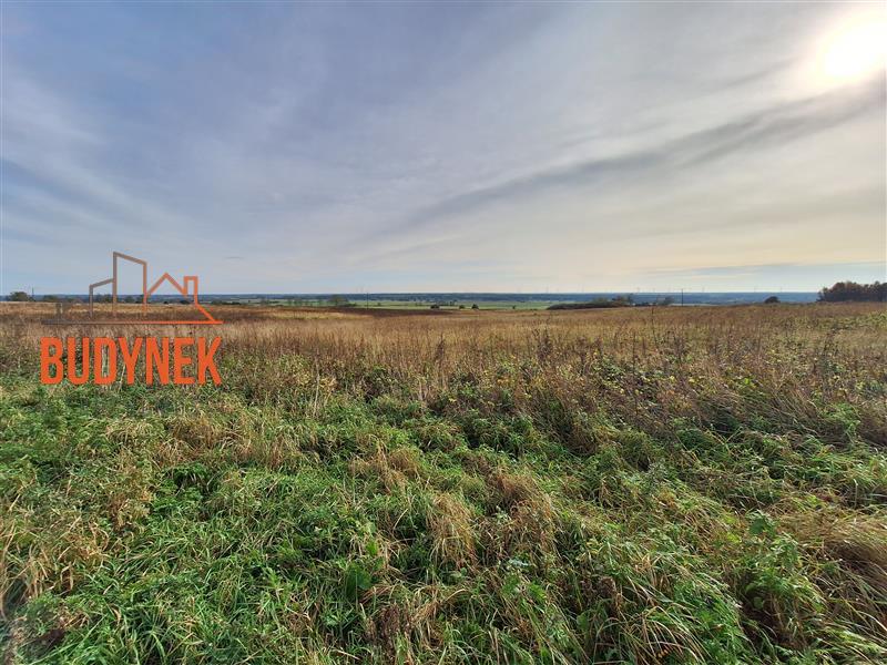 Działka rolna - Kopnica  (4)