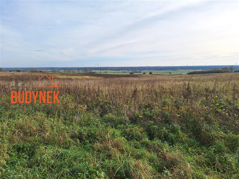 Działka rolna - Kopnica  (5)