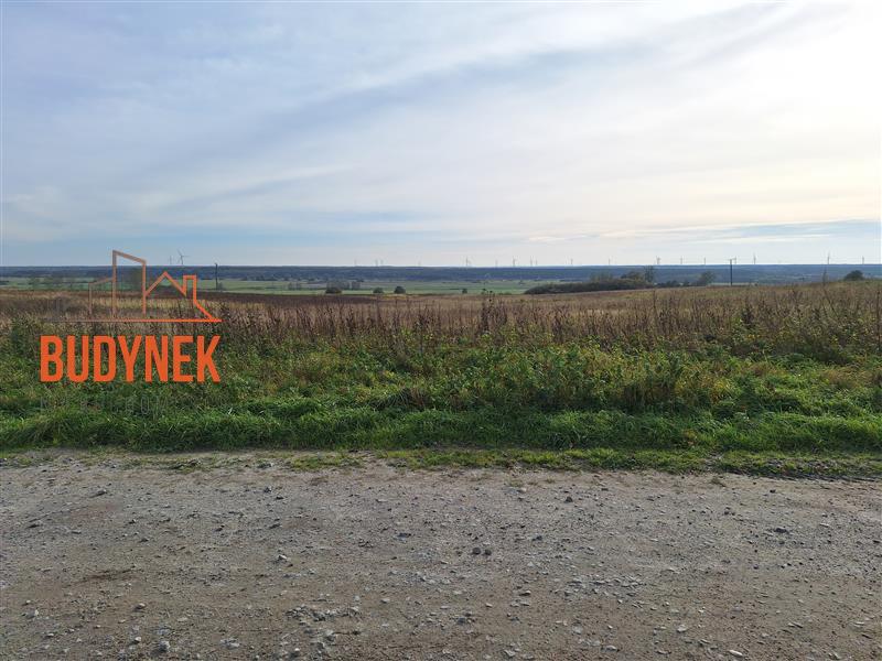 Działka rolna - Kopnica  (6)