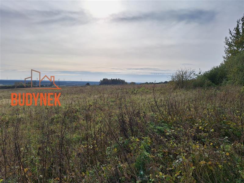 Działka rolna - Kopnica  (9)