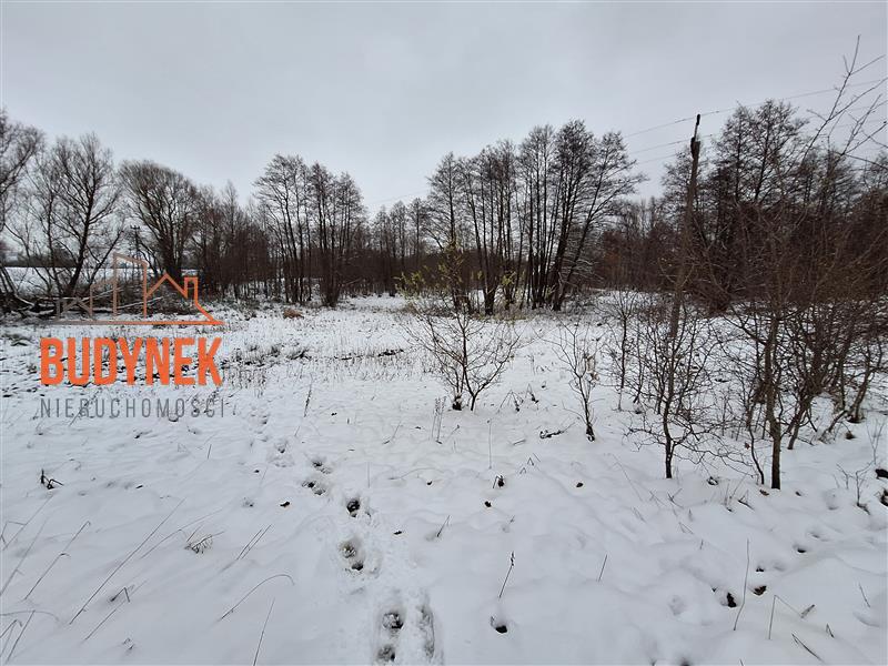 Działka rolna - Przystawy  (10)