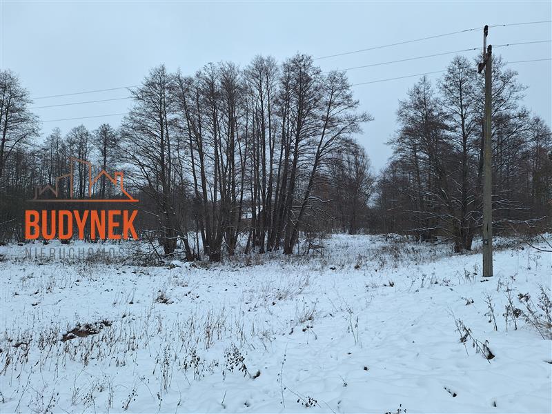 Działka rolna - Przystawy  (11)