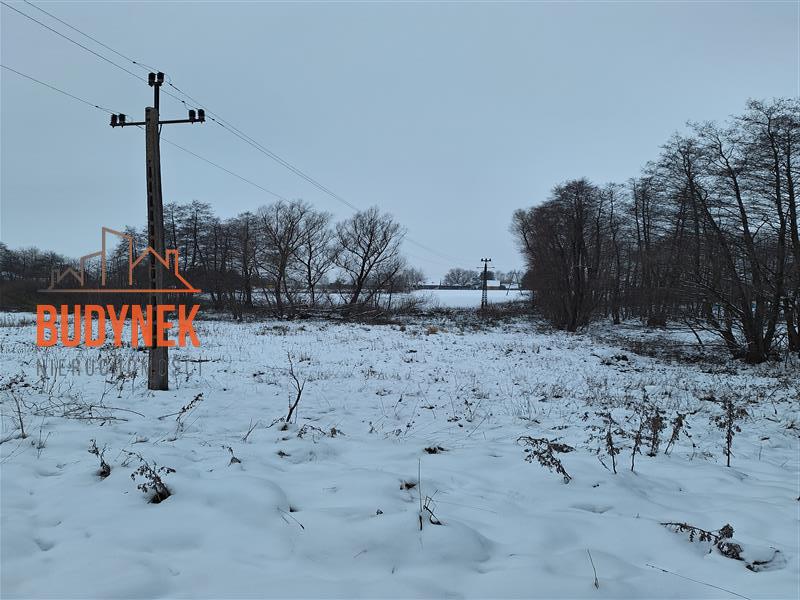 Działka rolna - Przystawy  (12)