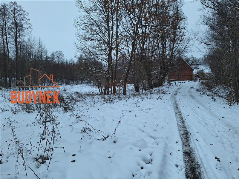 Działka rolna - Przystawy  (13)