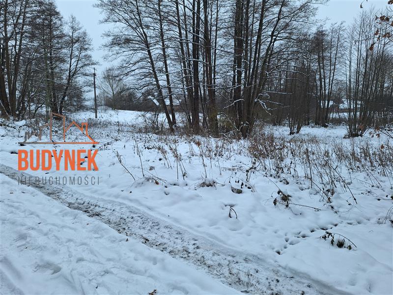 Działka rolna - Przystawy  (14)