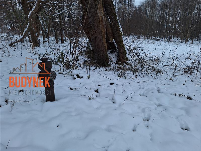 Działka rolna - Przystawy  (15)