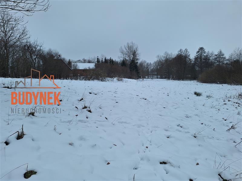 Działka rolna - Przystawy  (3)