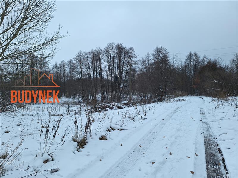 Działka rolna - Przystawy  (7)