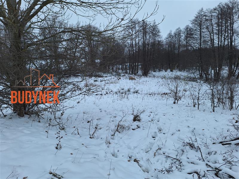 Działka rolna - Przystawy  (8)