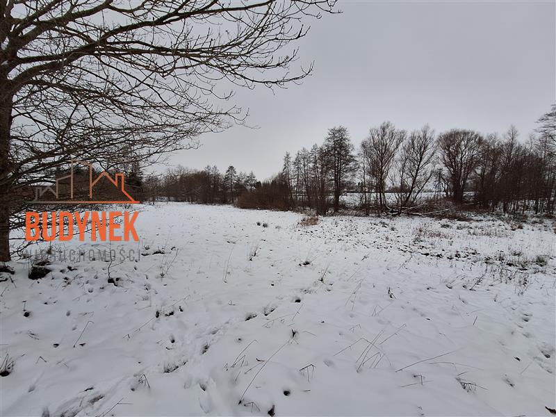 Działka rolna - Przystawy  (9)