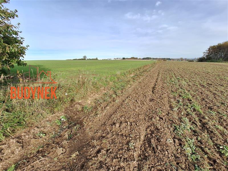 Działka rolna - Kopnica  (10)