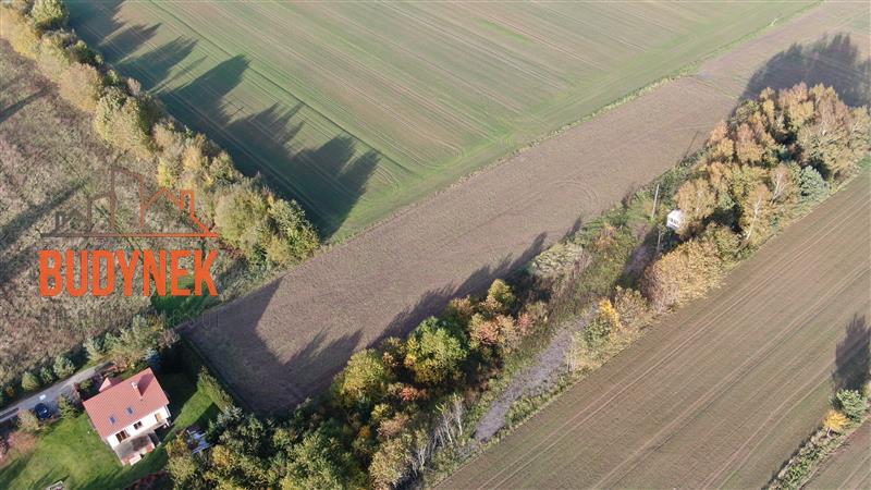 Działka rolna - Kopnica  (12)