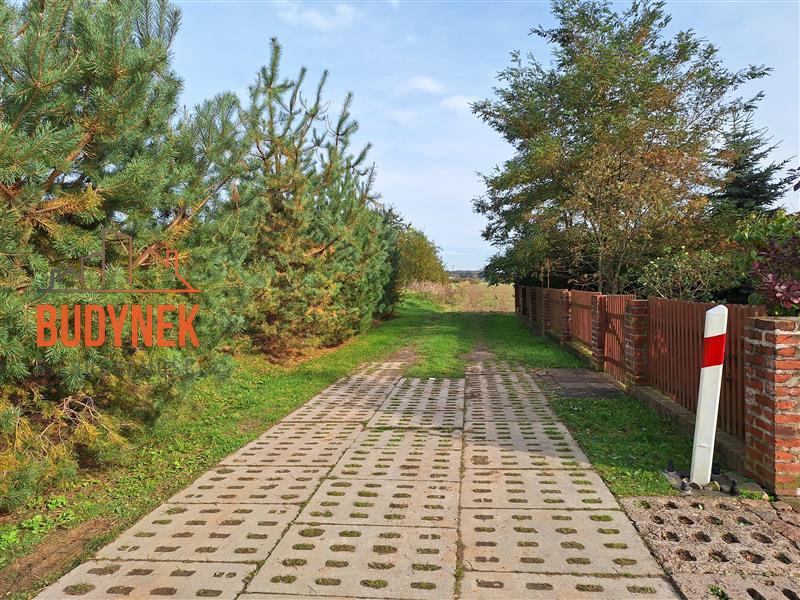 Działka rolna - Kopnica  (2)