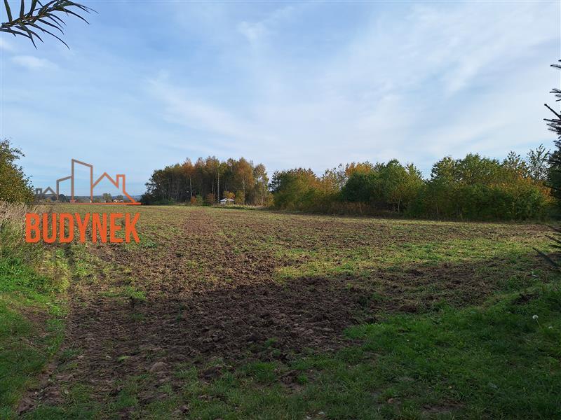 Działka rolna - Kopnica  (3)