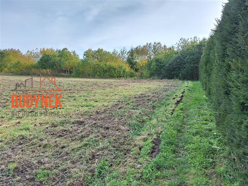 Działka rolna - Kopnica  (4)