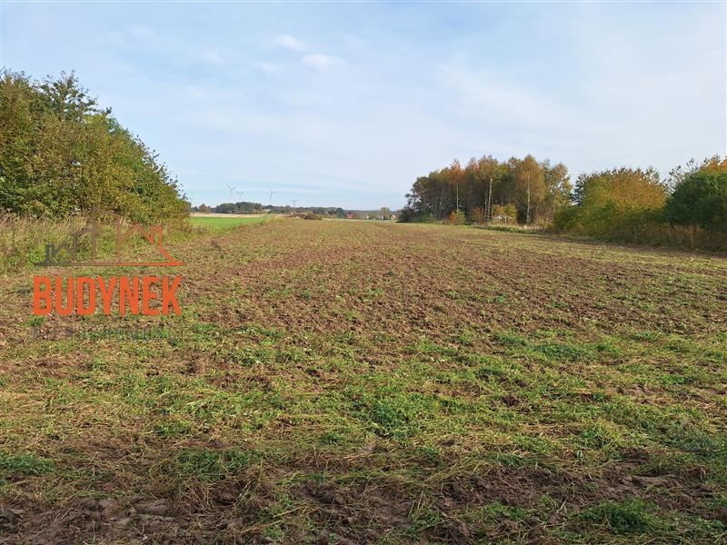 Działka rolna - Kopnica  (5)