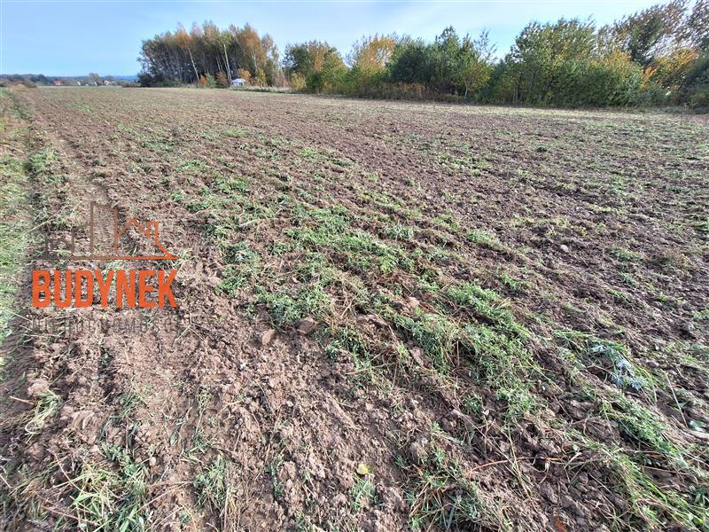 Działka rolna - Kopnica  (8)