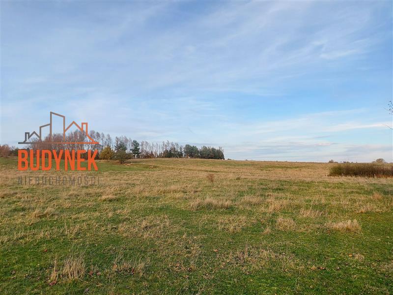 Działka rolna - Zakrzewo  (2)