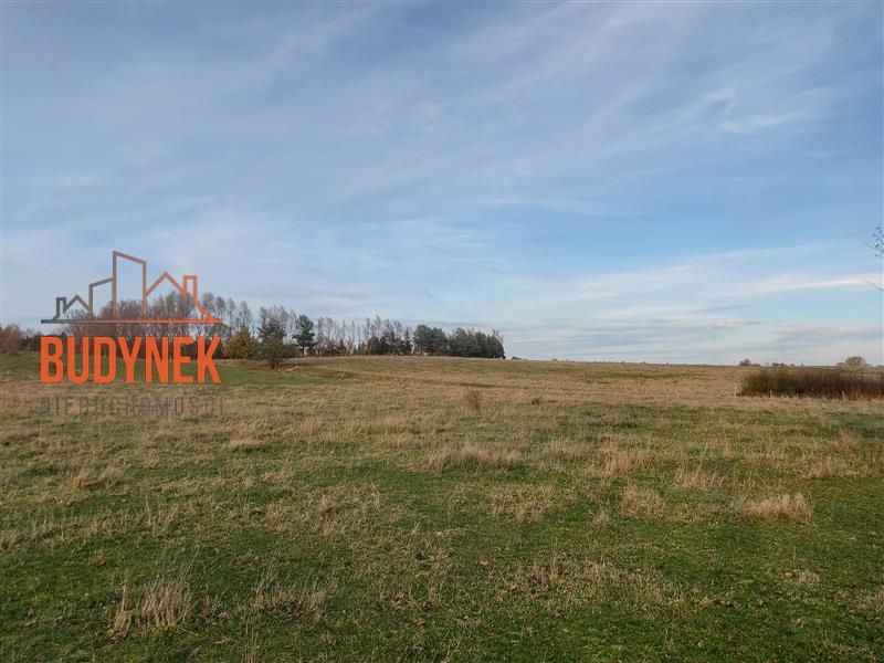 Działka rolna - Zakrzewo  (3)