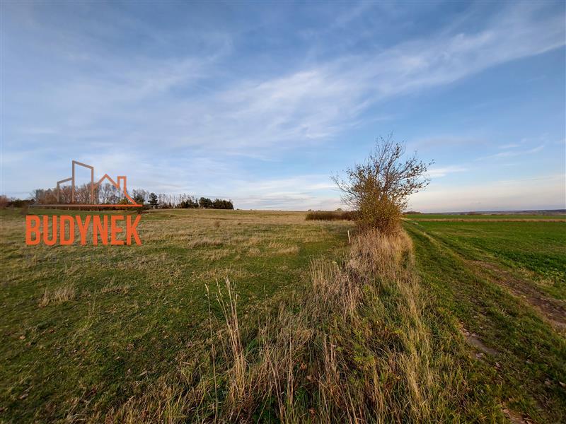 Działka rolna - Zakrzewo  (4)