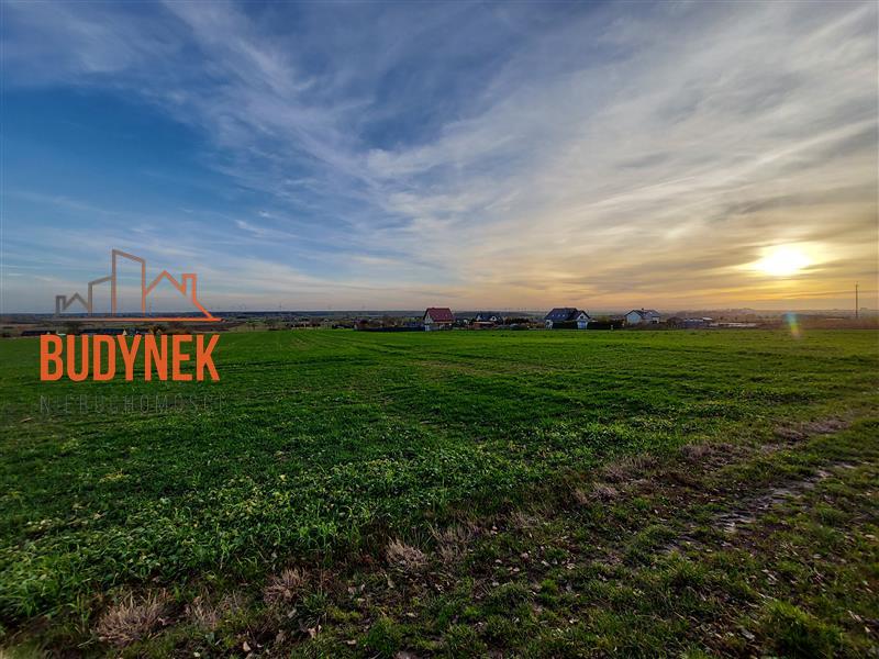Działka rolna - Zakrzewo  (5)