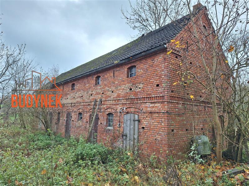 Działka - Malechowo  (5)