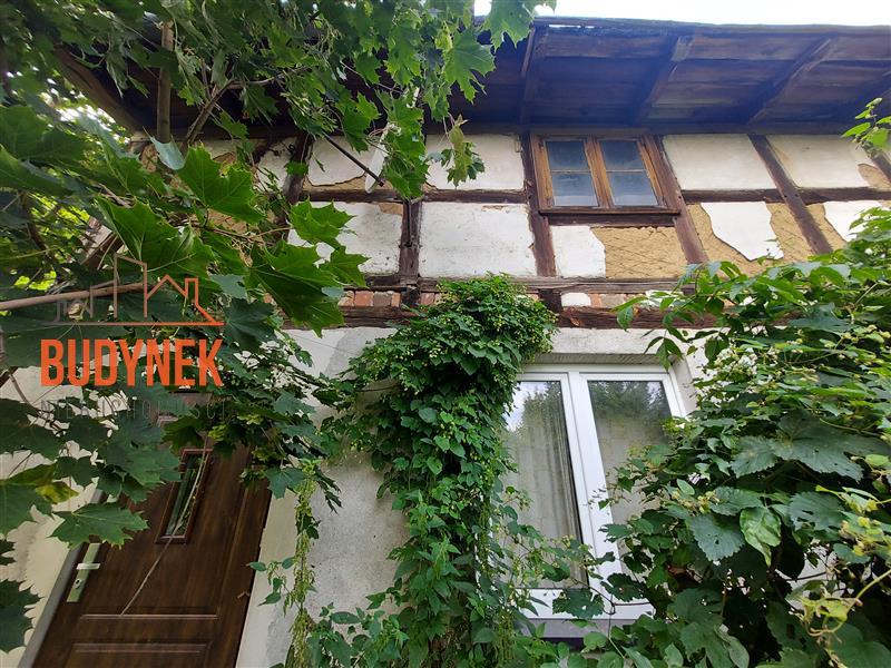 Działka - Malechowo  (8)