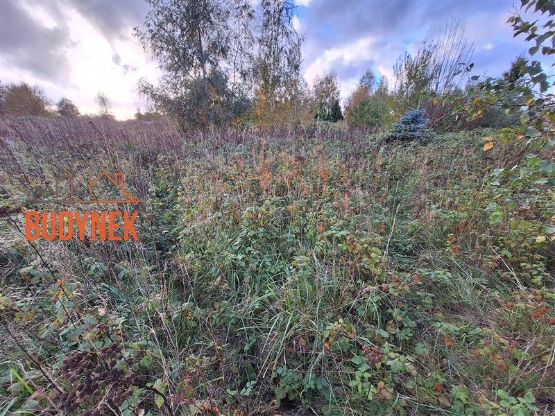 Działka budowlana - Cisowo  (9)