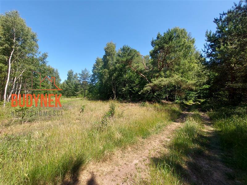 Działka budowlana - Kowalewice  (10)