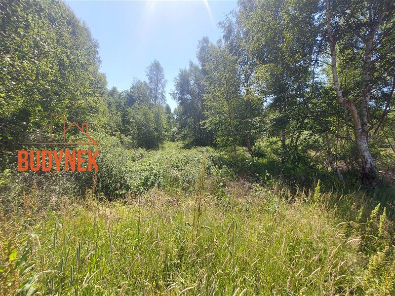 Działka budowlana - Kowalewice  (12)