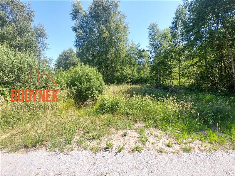 Działka budowlana - Kowalewice  (15)