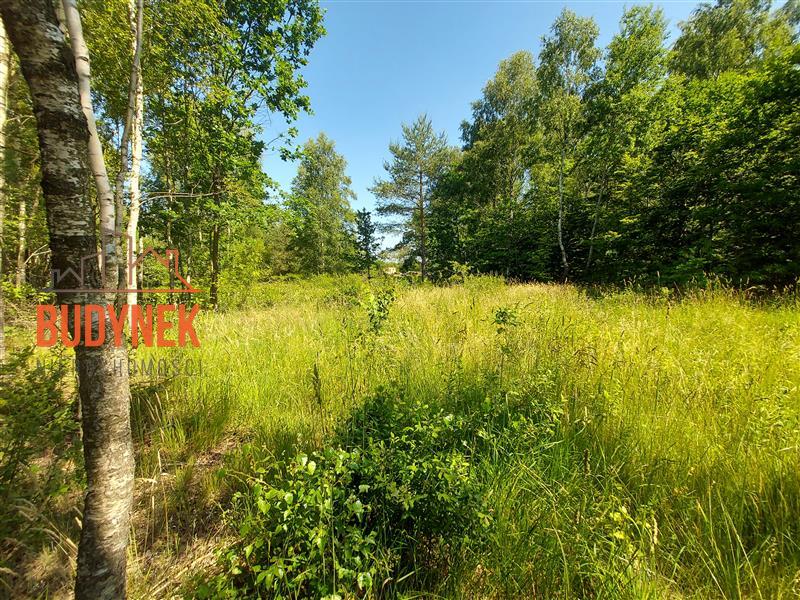 Działka budowlana - Kowalewice  (3)