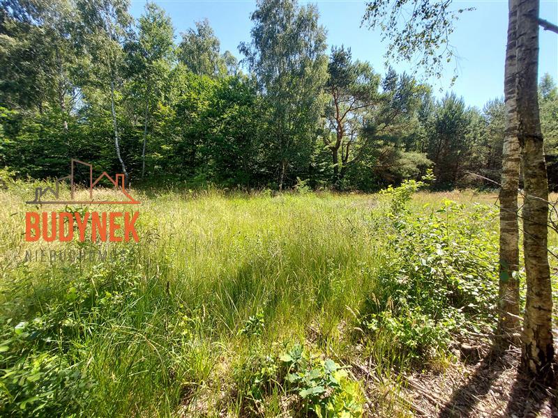 Działka budowlana - Kowalewice  (4)