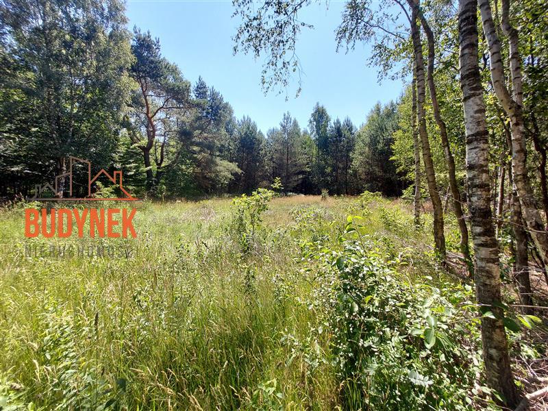 Działka budowlana - Kowalewice  (5)