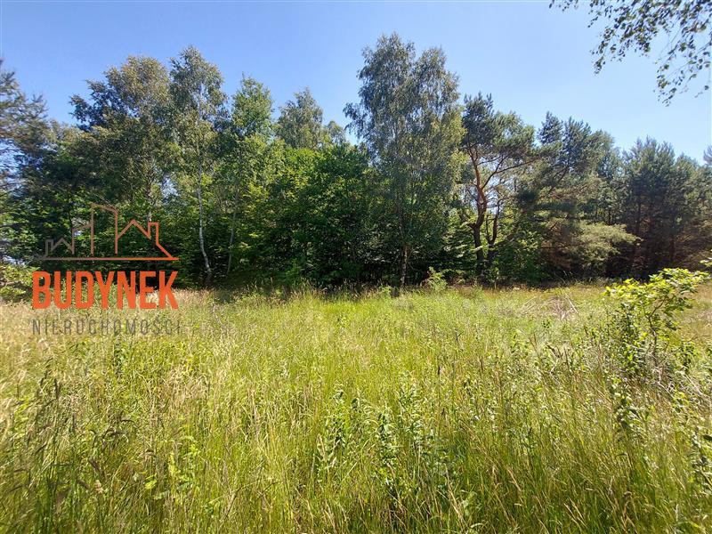 Działka budowlana - Kowalewice  (7)
