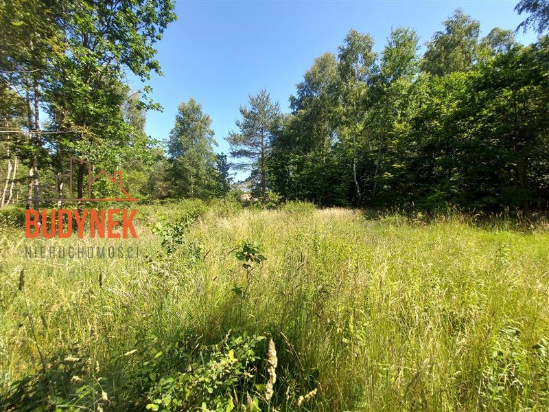 Działka budowlana - Kowalewice  (8)