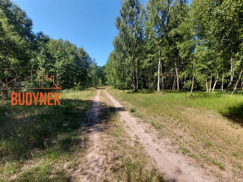 Działka budowlana - Kowalewice  (9)