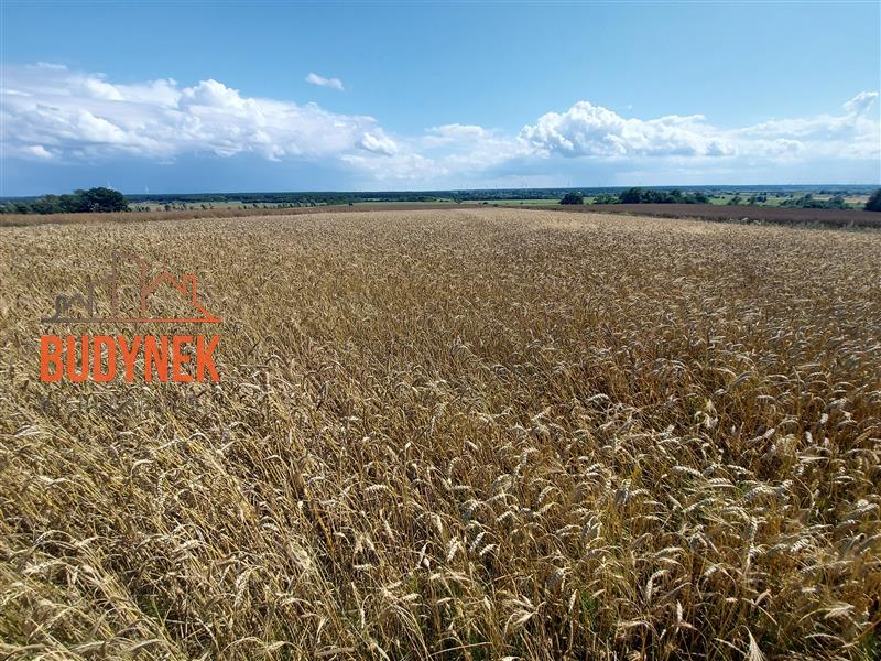 Działka rolna - Kopnica  (10)