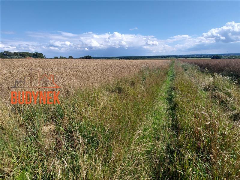 Działka rolna - Kopnica  (12)