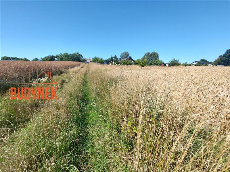 Działka rolna - Kopnica  (13)
