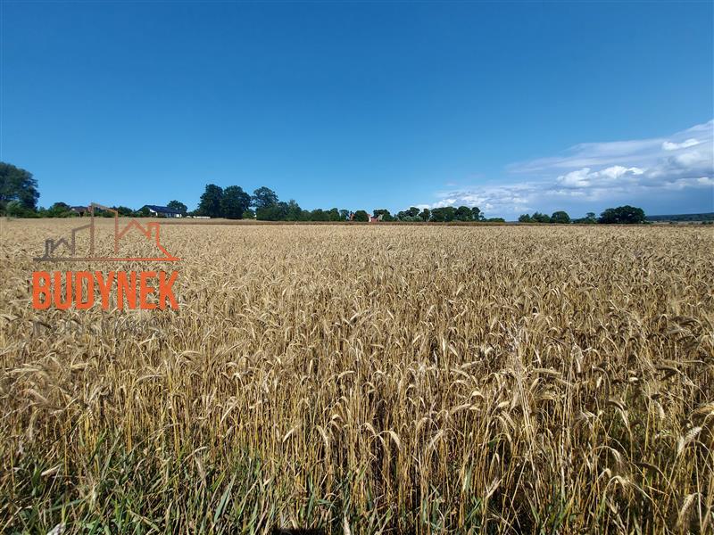 Działka rolna - Kopnica  (14)
