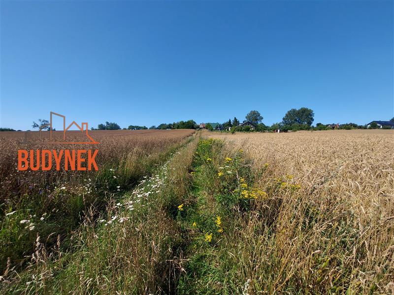 Działka rolna - Kopnica  (15)