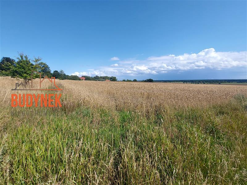 Działka rolna - Kopnica  (6)