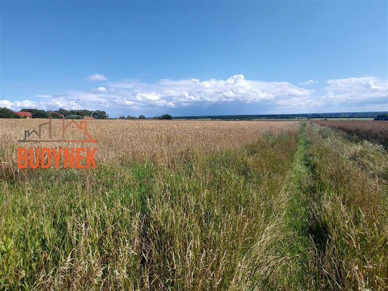 Działka rolna - Kopnica  (7)