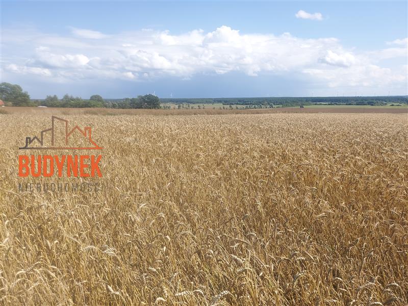 Działka rolna - Kopnica  (8)