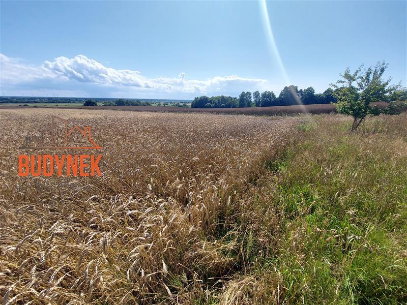 Działka rolna - Kopnica  (9)