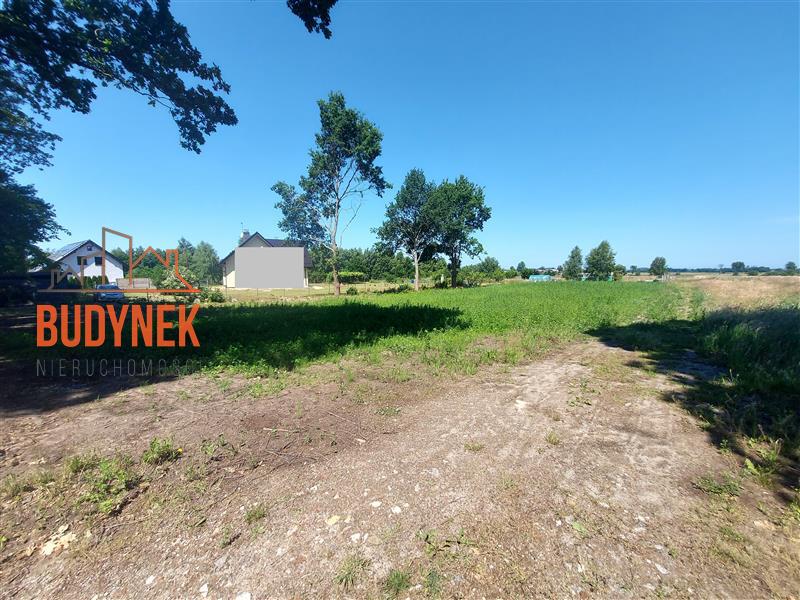 Działka budowlana - Rusko  (11)