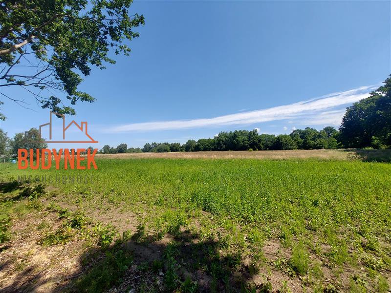 Działka budowlana - Rusko  (4)